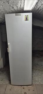 Diepvries, Elektronische apparatuur, Vriezers en Diepvrieskisten, Ophalen