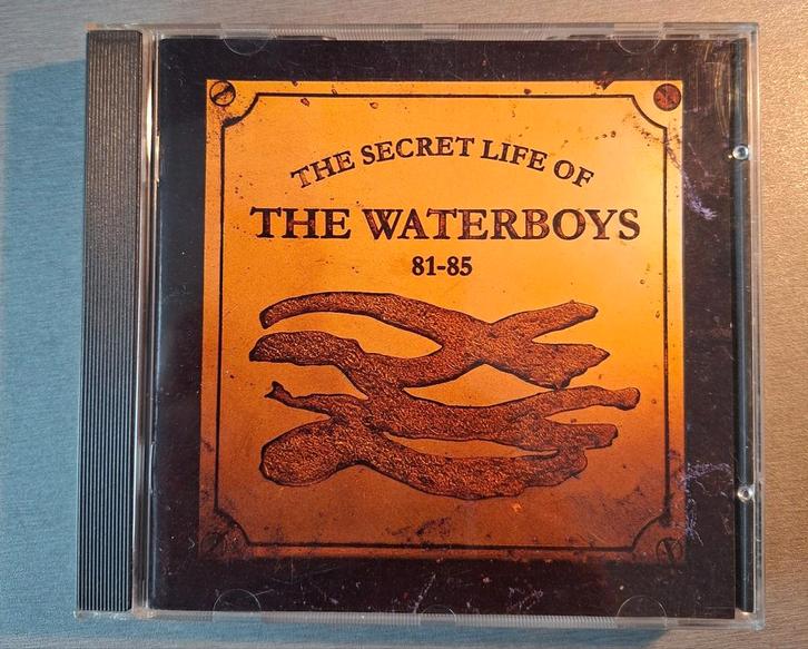 Cd. The Waterboys. The secret life of. 81-85., Cd's en Dvd's, Cd's | Verzamelalbums, Ophalen of Verzenden