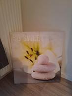 Wandplaat wanddecoratie kader portret bloem met steen stenen, Huis en Inrichting, Ophalen of Verzenden, Nieuw, Print