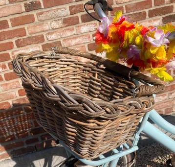 Fietsmandje Fastrider (fiets ook te koop) beschikbaar voor biedingen