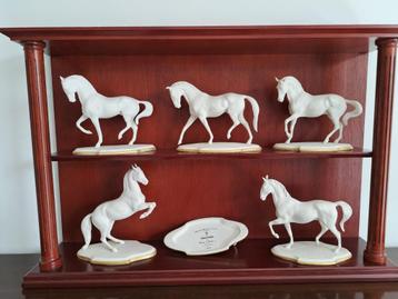 Paarden (5) - Pamela Du Boulay -Spaanse Rijschool - 1981 beschikbaar voor biedingen