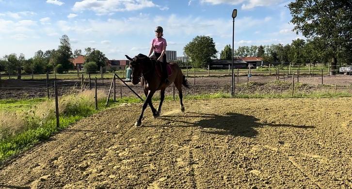 Paardrijlessen met eigen paard., Services & Professionnels, Animaux | Chevaux | Soins, Garde & Dressage, Leçons d'équitation ou Stages de poney