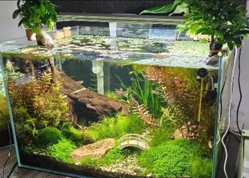 Aquarium setje  Voor aquascaping, Dieren en Toebehoren, Vissen | Aquaria en Toebehoren, Zo goed als nieuw, Verlichting of Verwarming