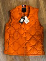 Veste sans manches tommy hilfiger, Neuf, Tommy Hilfiger, Enlèvement, Taille 48/50 (M)