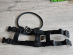 Cesar millan trainingshalsband antitrek gratis boek ., Ophalen, Zo goed als nieuw
