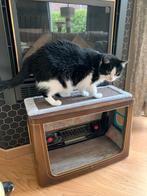 Oude radio omgebouwd naar kattenspeeltje, Enlèvement ou Envoi
