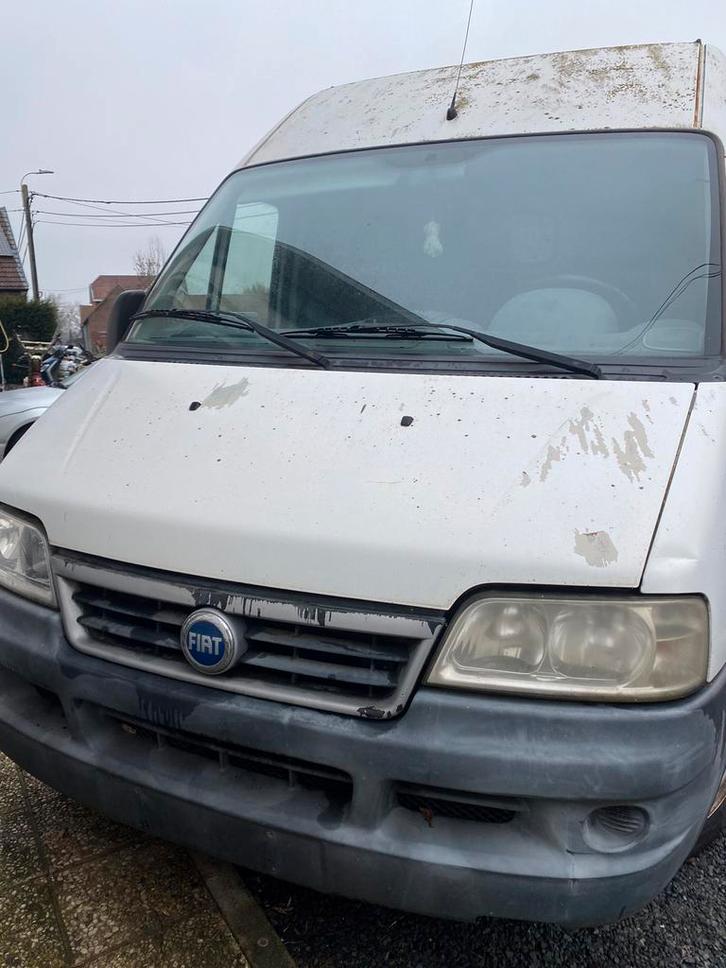 Fiat ducato camionette (geen keuring), Auto's, Bestelwagens en Lichte vracht, Bedrijf, Fiat, Diesel, Ophalen
