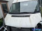 FORD TRANSIT bestelwagen wit motorkap 2006-2014, Auto-onderdelen, Gebruikt, Ford, Motorkap