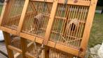 Très belle cage en bois., Animaux & Accessoires, Enlèvement ou Envoi, Comme neuf, Bois