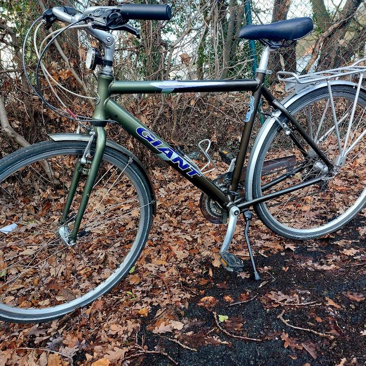 Velo, Fietsen en Brommers, Fietsen | Heren | Herenfietsen, Giant, Versnellingen, Ophalen