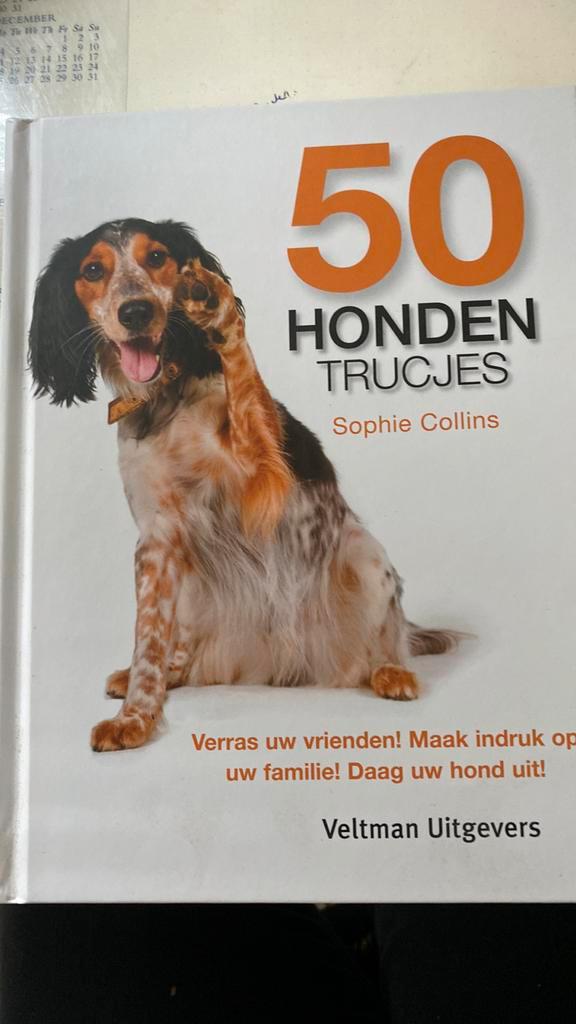 Sophie Collins - 50 Hondentrucjes, Boeken, Dieren en Huisdieren, Honden, Ophalen of Verzenden