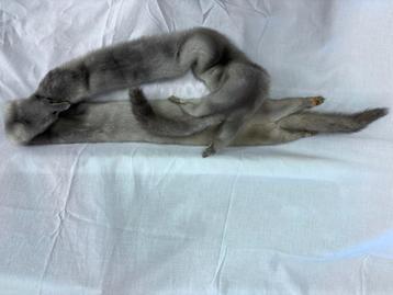 Zilver nertssjaaltje beschikbaar voor biedingen