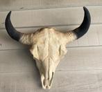 Deco karkas stierenkop 65cm, Ophalen, Gebruikt