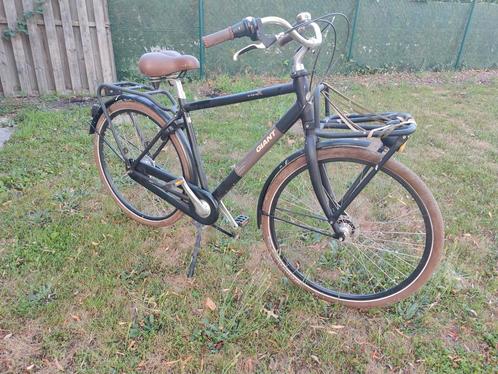 Giant fiets 7 versnellingen, dubbele bagagedrager en slot, Fietsen en Brommers, Fietsen | Heren | Herenfietsen, Gebruikt, Giant