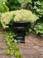 landelijke bloempot , bloemvaas , aanbieding, Ophalen of Verzenden, Nieuw, Tuin