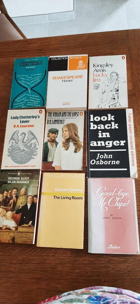 Livres littérature anglaise pour futurs germanistes, Boeken, Literatuur, Gelezen, Europa overig, Ophalen