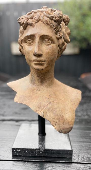 Bronzen buste dameshoofd prachtige patine zuiver fraai brons beschikbaar voor biedingen