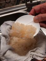 waterkefir, Diversen, Ophalen
