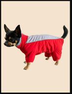 manteau de chien, Enlèvement, Manteau pour chien, Neuf