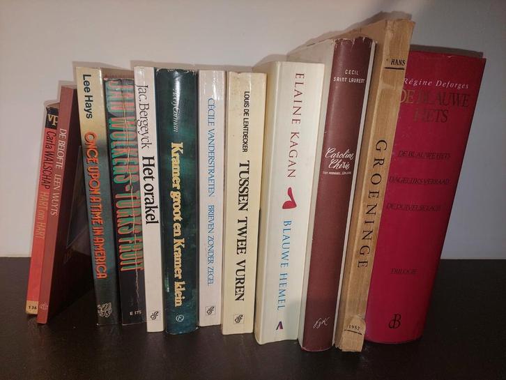 Boeken van verschillende auteurs, Boeken, Stock en Verzamelingen, Gelezen, Ophalen