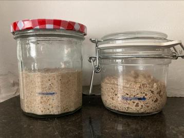 Desem - Zuurdesem brood - bakken - Bio - volkoren, Ophalen, Zo goed als nieuw