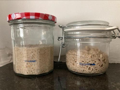 Desem - Zuurdesem brood - bakken - Bio - volkoren, Hobby en Vrije tijd, Overige Hobby en Vrije tijd, Zo goed als nieuw, Ophalen