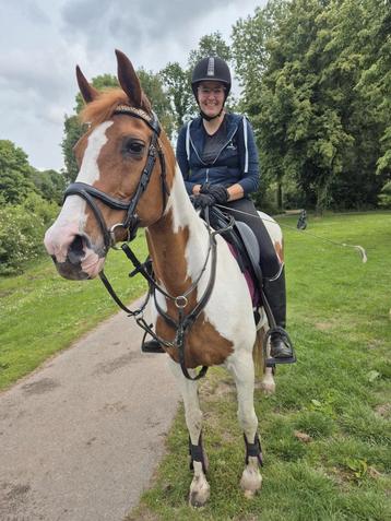 super lief weidemaatje, / lichte recreatie pony  beschikbaar voor biedingen