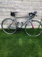 Racefiets/Koersfiets: San Siro Shimano Tiagra 10 Speed, Moins de 49 cm, Autres marques, 10 à 15 vitesses, Autres matériaux