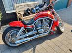 Harley Davidson v rod, Motoren, 2 cilinders, Chopper, Particulier, 1200 cc