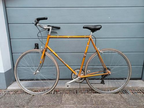 Sagot Senicourt frame met nieuwe onderdelen, Vélos & Vélomoteurs, Vélos | Hommes | Vélos pour homme, Utilisé, Vitesses, Enlèvement