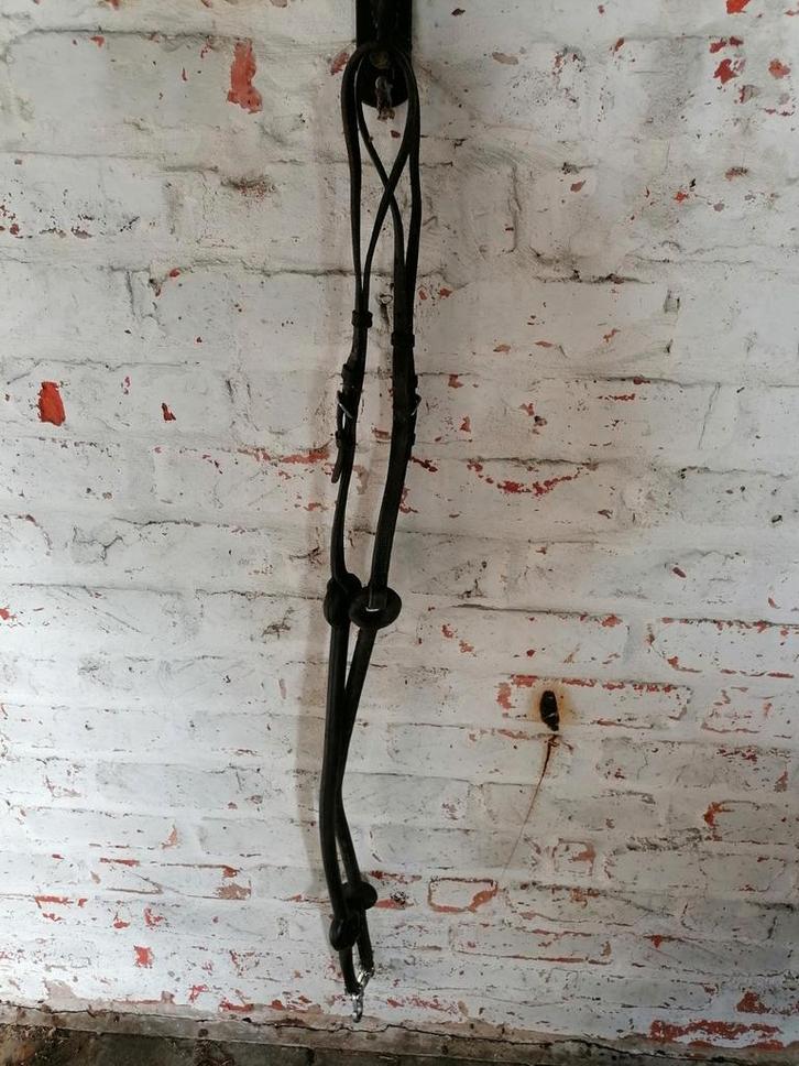 Thiedemann-teugel van leer voor paard, 1 paar, Dieren en Toebehoren, Paarden