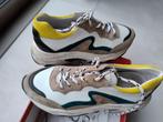 3 paar = all stars/CKS/VANS =  maat 37 =propere staat, Cks, Overige typen, Ophalen of Verzenden, Zo goed als nieuw