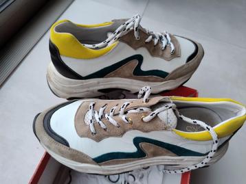 3 paar = all stars/CKS/VANS =  maat 37 =propere staat  beschikbaar voor biedingen