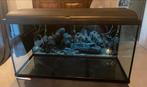 Aquarium 200l, Dieren en Toebehoren, Vissen | Aquaria en Toebehoren, Ophalen, Gebruikt, Leeg aquarium