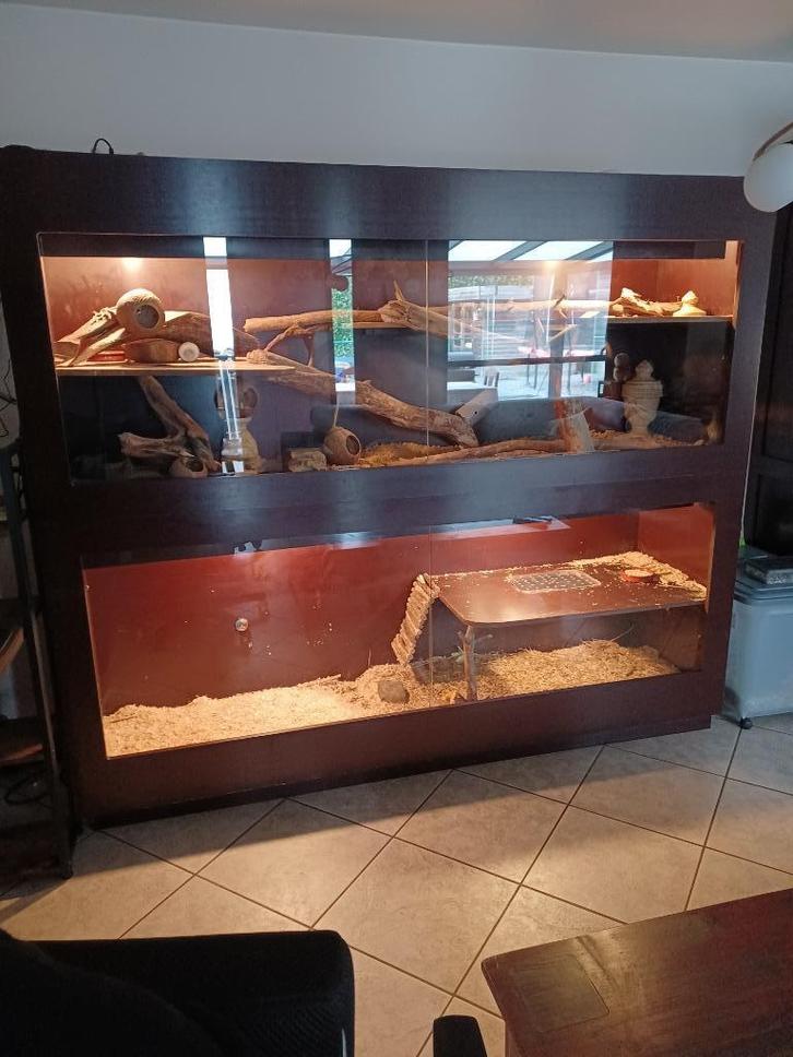 Mega terrarium, Dieren en Toebehoren, Reptielen en Amfibieën