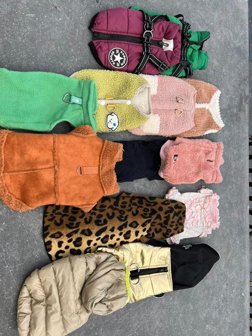Hondenjasjes/kleding, Dieren en Toebehoren, Hondenkleding, Zo goed als nieuw, Ophalen of Verzenden