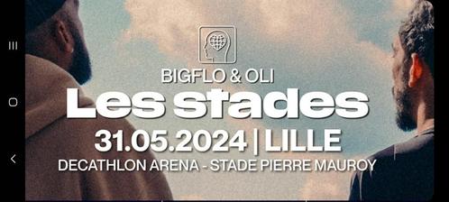 TICKETS BIG FLO 1 OLI à Lille le 31 mai, Tickets en Kaartjes, Concerten | Pop, Mei