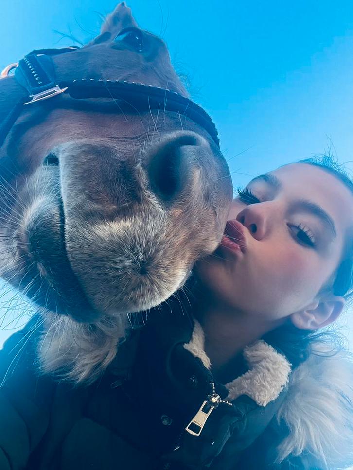 Halve stal ter beschiking!, Dieren en Toebehoren, Paarden en Pony's | Verzorgingsproducten, Ophalen of Verzenden