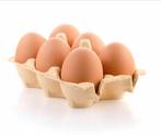 Verse eieren te koop, Comme neuf, Enlèvement ou Envoi