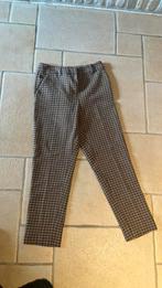 Nieuwe broek river woods maat 36, Enlèvement, Comme neuf