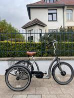 Driewieler met elektrische ondersteuning - Proxy Easy Rider, Ophalen of Verzenden, Zo goed als nieuw