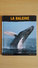 Livre : La baleine, Livres, Non-fiction, Garçon ou Fille, Enlèvement, Utilisé
