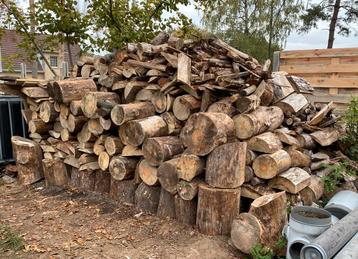 Brandhout te koop  beschikbaar voor biedingen