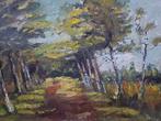 Schilderijen M.VAN DEN BEMPT "Bos en groen" 50x40, Ophalen of Verzenden