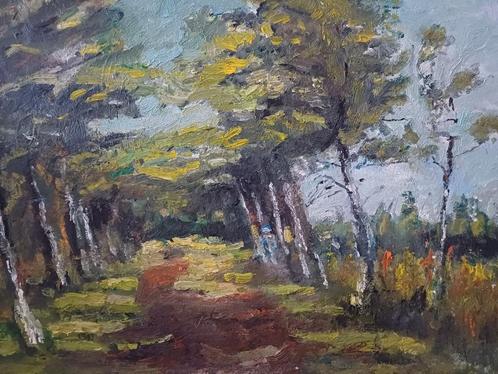Schilderijen M.VAN DEN BEMPT "Bos en groen" 50x40, Antiek en Kunst, Kunst | Schilderijen | Klassiek, Ophalen of Verzenden