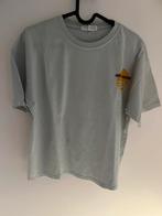 T-shirt Zara maat 164, Kinderen en Baby's, Kinderkleding | Maat 164, Ophalen of Verzenden, Zo goed als nieuw, Zara, Shirt of Longsleeve