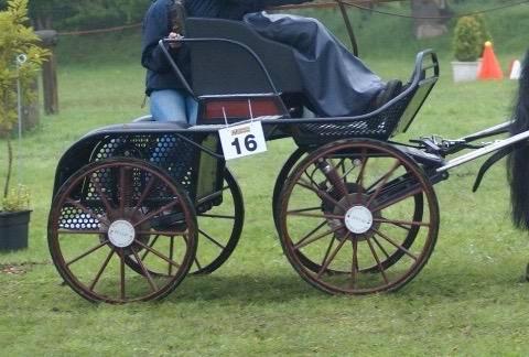 De laat enkelspankoets, Dieren en Toebehoren, Rijtuigen en Koetsen, Gebruikt, Marathonwagen, Paard of Pony