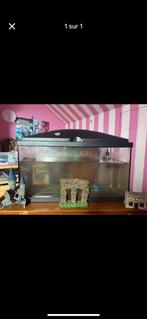 Aquarium 60L, Animaux & Accessoires, Poissons | Aquariums & Accessoires, Enlèvement, Utilisé, Aquarium d'eau douce rempli