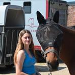 Halve/volle stal gezocht, Dieren en Toebehoren, Paarden