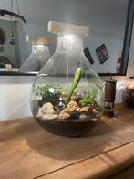 Woondecoratie/terrarium, Huis en Inrichting, Woonaccessoires | Stolpen, Ophalen of Verzenden, Zo goed als nieuw